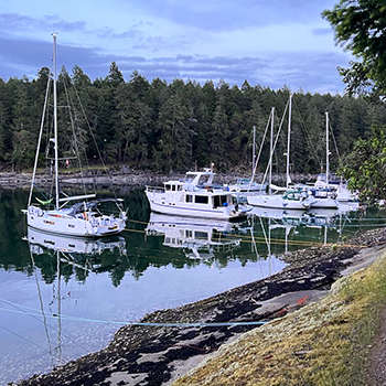 Salute to Summer Flotilla Image